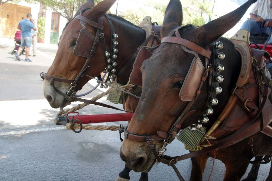 Fotos: Todas las imágenes del miércoles de la Feria de Málaga 2018