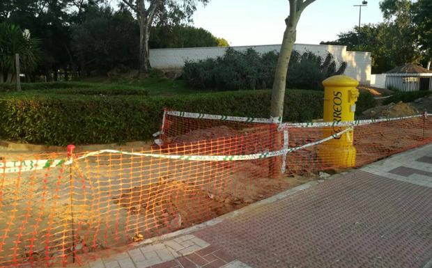 Jardines 'Pipi' de Playa Virginia: Cuestionan la tala de unos árboles