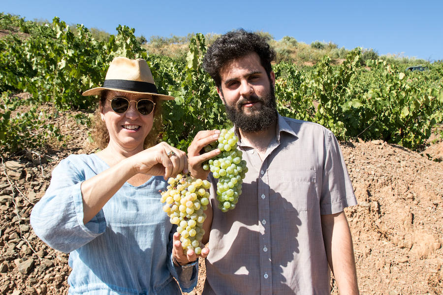 Fotos: El proyecto de vinos de Ordóñez e Hijos en los Montes de Málaga