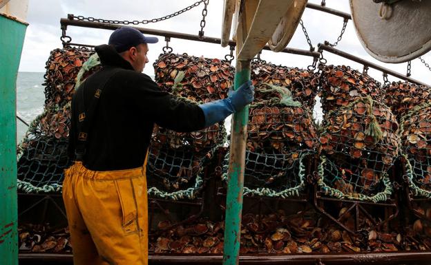 Pesca de la vieira en en Canal de la Mancha.