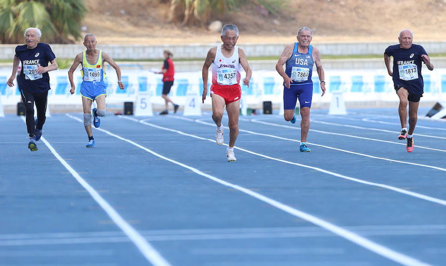 Málaga se convierte hasta el 16 de septiembre en la capital mundial del atletismo máster con la celebración del XXIII Campeonato Mundial de Atletismo Máster, que contará con la participación de más de 8.000 atletas, de los cuales 1.788 son españoles