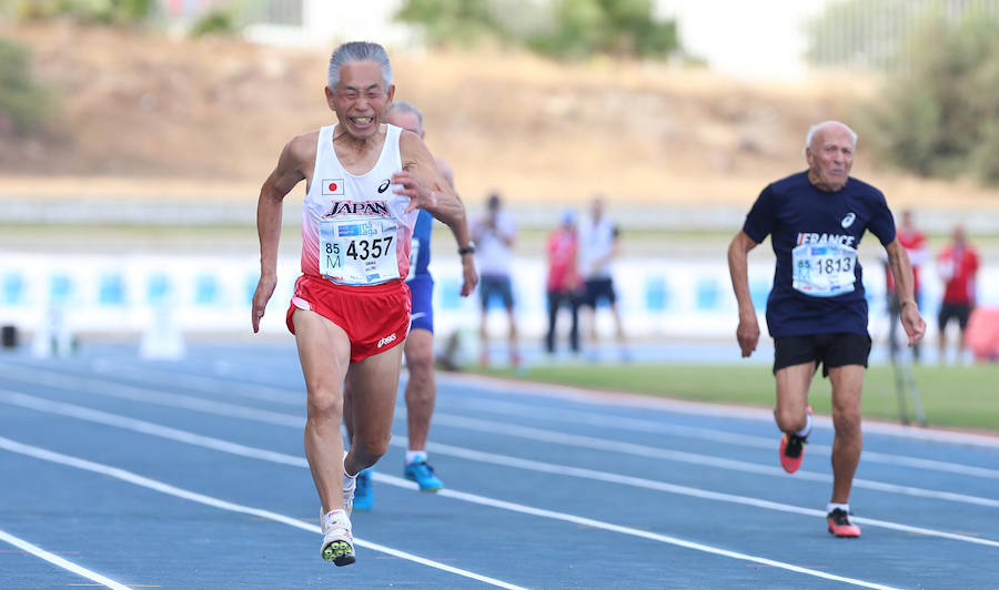 Málaga se convierte hasta el 16 de septiembre en la capital mundial del atletismo máster con la celebración del XXIII Campeonato Mundial de Atletismo Máster, que contará con la participación de más de 8.000 atletas, de los cuales 1.788 son españoles