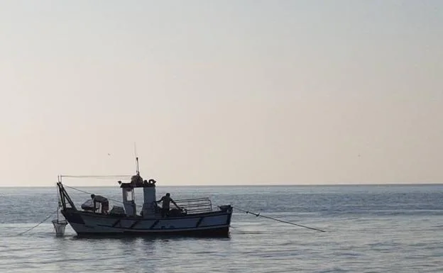 Las coquinas del litoral malagueño volverán a los mercados tras un verano negro de toxinas