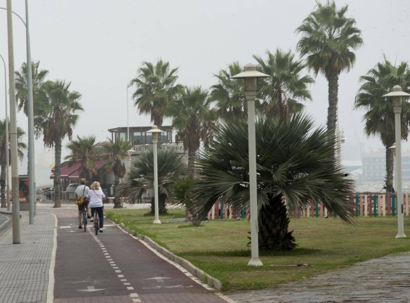 También se llama boria o niebla de advección, y se produce por una diferencia de notable entre la temperatura del agua del mar y la del aire
