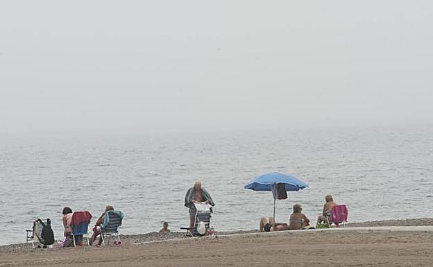 Galería. El taró, en la capital malagueña