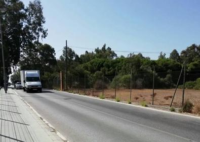 Imagen secundaria 1 - Rotonda cercada. Carretera del campo de Golf. Olivo rodeado de basuras.