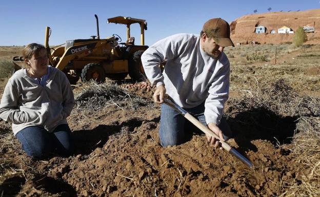 Familias mormonas trabajan en el campo. 