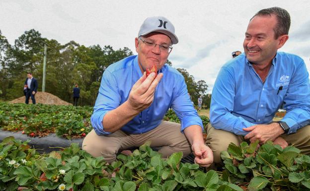 El primer ministro australiano come una fresa. 