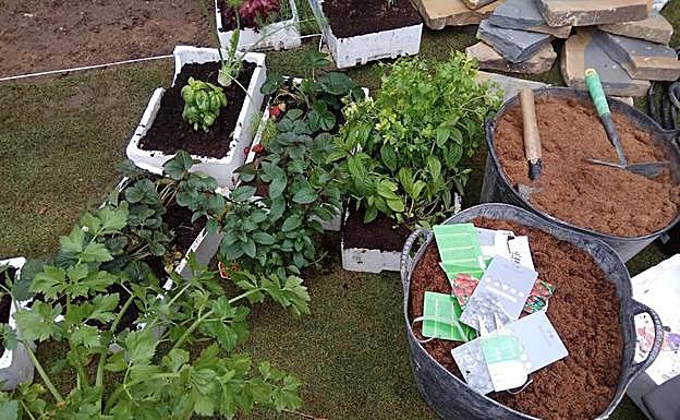 Püro Huertum acompaña y aconseja a los usuarios para diseñar su propio huerto. 