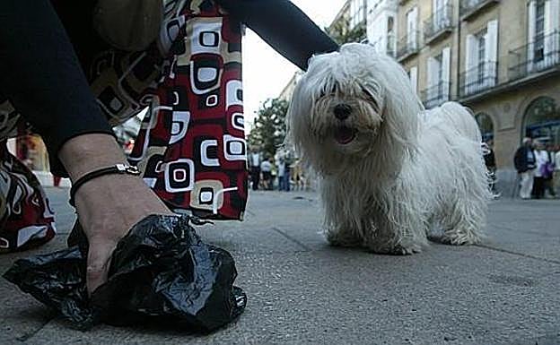 Una mujer recoge las heces de su perro en una calle. 