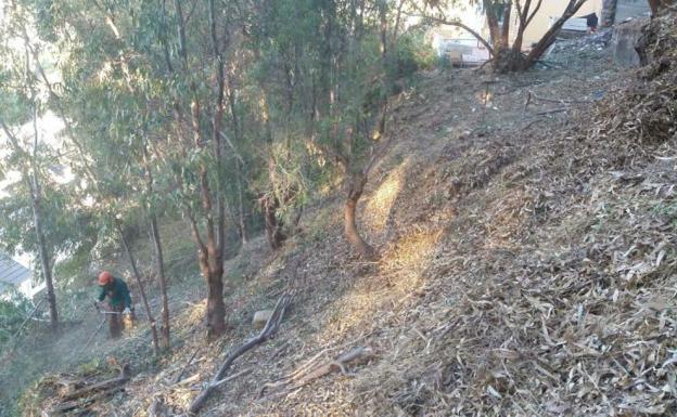 Los trabajos en la zona forestal de la urbanización ya se han iniciado.