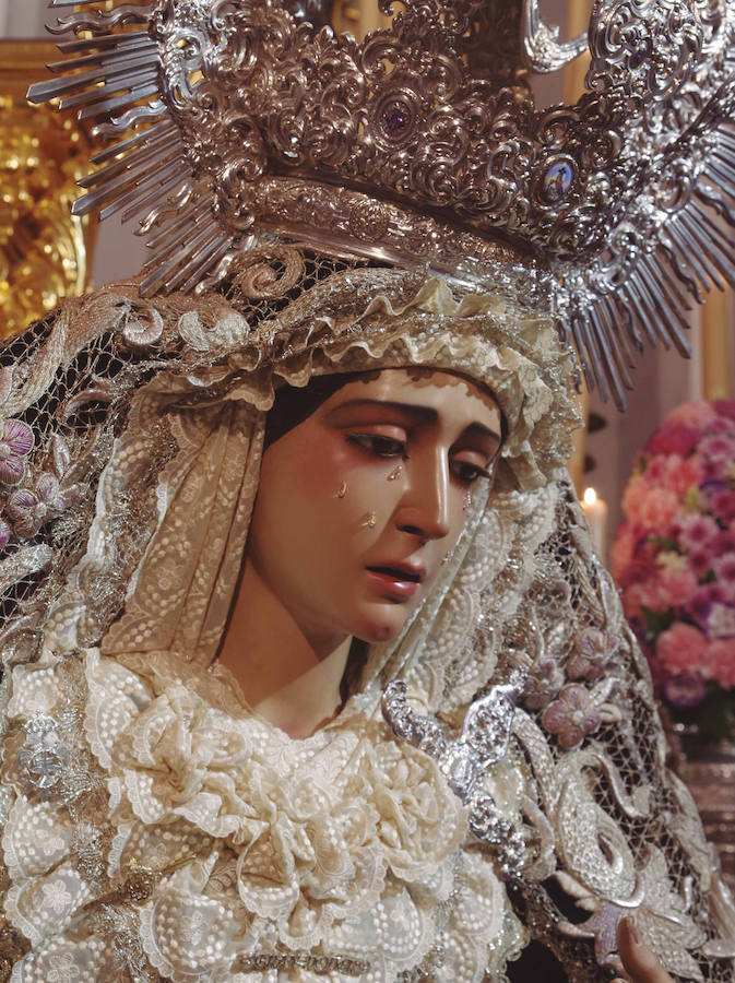 La muestra, organizada por la junta provincial de la Asociación Española contra el Cáncer (AECC), reúne en la calle Larios 45 fotos de Eduardo Nieto de las Vírgenes de Semana Santa y de la Patrona de Málaga. Más información  aquí .