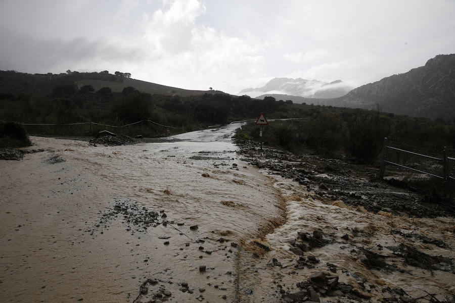 Bobadilla, Campillos, Teba, Casarabonela, Ardales y Estepona se llevan lo peor de la alerta roja que ha dejado registros históricos