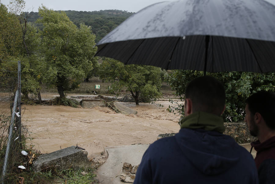 Bobadilla, Campillos, Teba, Casarabonela, Ardales y Estepona se llevan lo peor de la alerta roja que ha dejado registros históricos