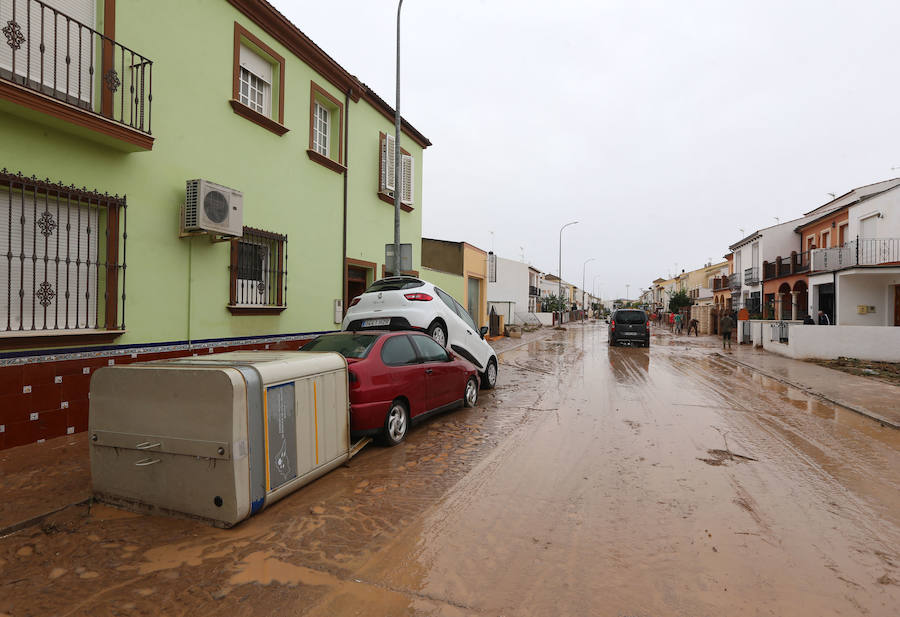 Bobadilla, Campillos, Teba, Casarabonela, Ardales y Estepona se llevan lo peor de la alerta roja que ha dejado registros históricos