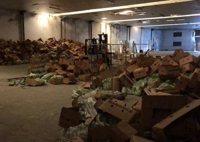 Imagen secundaria 1 - La droga estaba oculta en un cargamento de plátanos