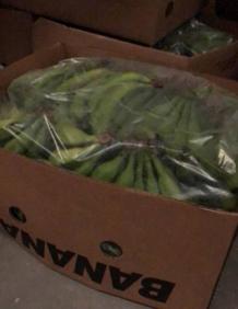 Imagen secundaria 2 - La droga estaba oculta en un cargamento de plátanos