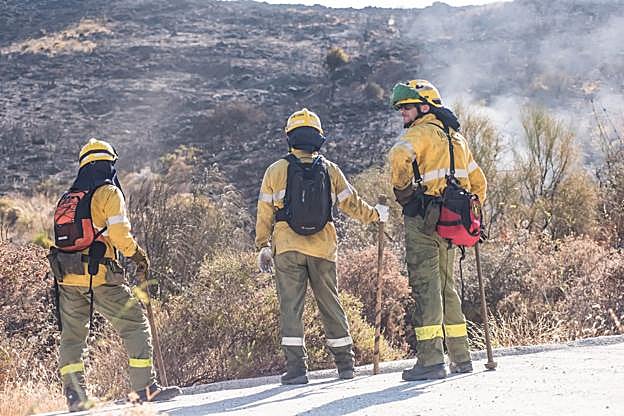 Efectivos del Plan Infoca durante una intervención en una imagen de archivo. 