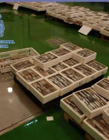 Imagen secundaria 2 - Golpe a la organización que ocultaba cocaína entre tofu, crema de avellanas y comida congelada. La Guardia Civil encontró hachís entre toneladas de cebolla en Almogía. La policía detectó que una red enviaba hachís de Marruecos a Málaga entre cajas de sardinas 
