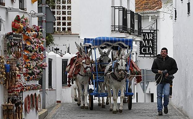 Los burro-taxis recorren sólo una parte del municipio, y los arrieros aseguran que no suben cuestas elevadas. 