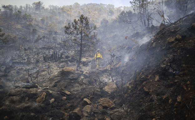 Bomberos, en las labores de extinción del incendio en Ojen (archivo).