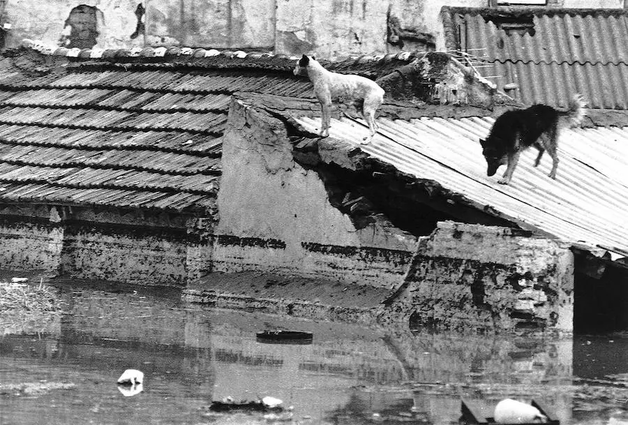 A la una de la tarde el cielo se volvió tan negro que parecía de noche y empezó a llover. Así recuerdan la mayoría de los malagueños el que quizá sea uno de los capítulos más impactantes y dramáticos de la reciente historia de Málaga.