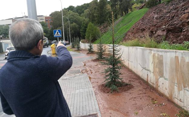 Un bordillo entre los árboles y la acera evitaría los encharcamientos.