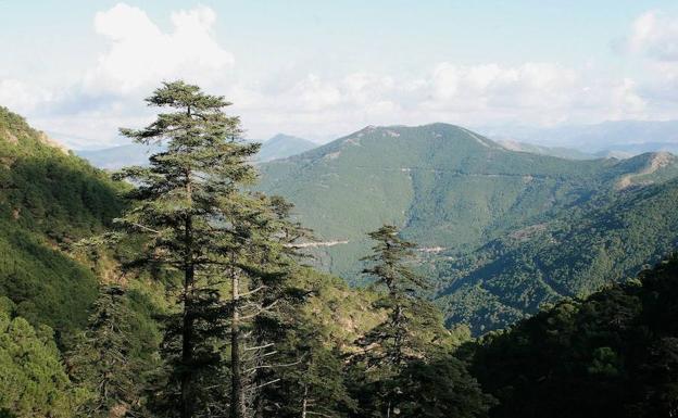 Imagen de archivo de Sierra Bermeja.