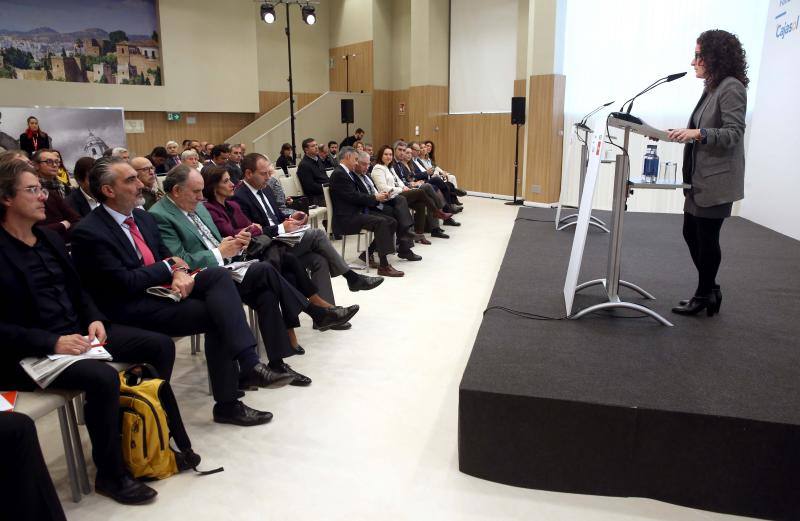 El director ejecutivo advierte en un Foro SUR de que la demanda seguirá creciendo y las ciudades tendrán que «acostumbrarse a sobrevivir con el llamado 'sobreturismo'»