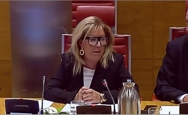 Carmen Sánchez, durante su intervención en el Senado. 