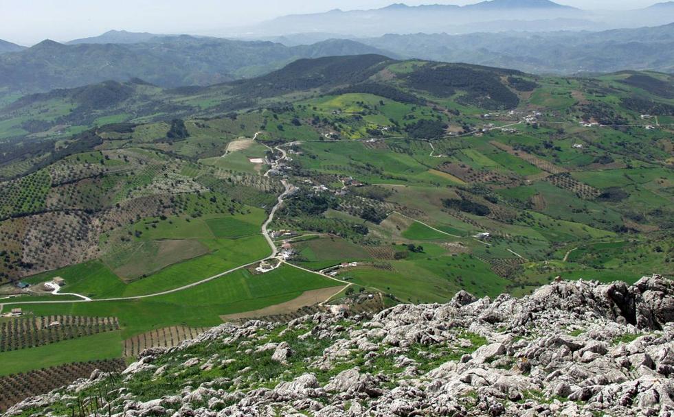 Vista panorámica del Campo de Cámara.