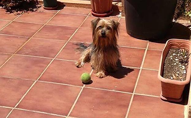 'En recuerdo de Pancho'