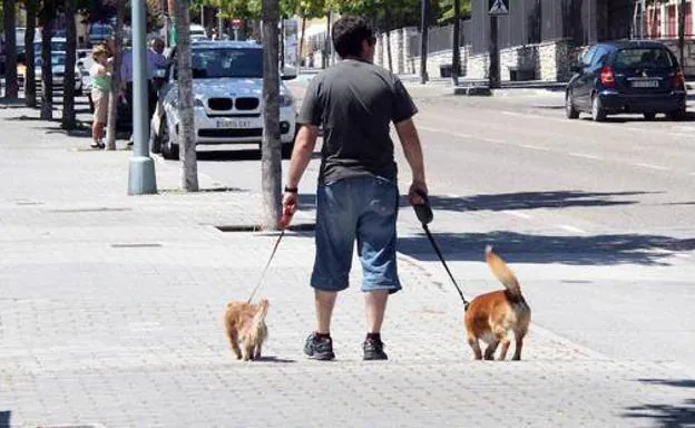 Desde el Ayuntamiento aseguran que la Policía Local «velará» por el cumplimiento de la norma.