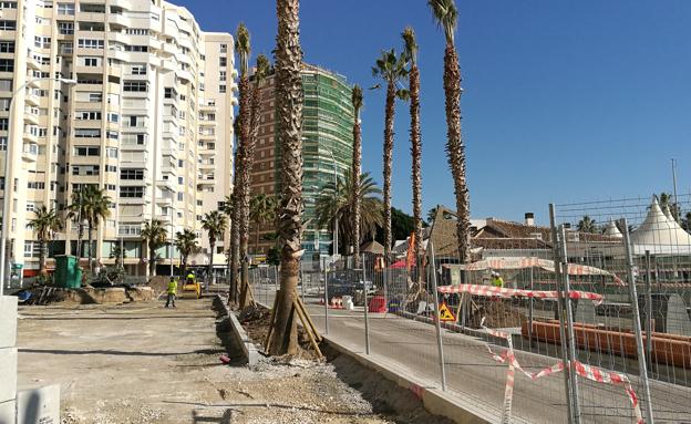 Algunas palmeras ya han sido colocadas en la zona de obras que se ha abierto al tráfico.