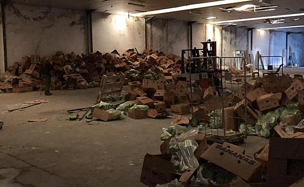 Imagen de la nave del polígono de Málaga donde en octubre se interceptó un alijo de 6.300 kilos de cocaína entre plátanos.