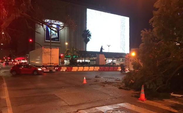 Imagen principal - Un camión arranca de cuajo un árbol en la calle Hilera