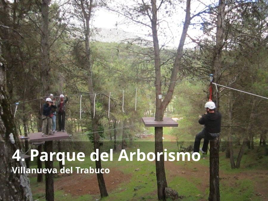 A un paso de la Fuente de los 100 Caños se puede disfrutar en plena naturaleza de una actividad con mucha adrenalina. Se trata de un enclave habilitado para disfrutar de un recorrido entre árboles. Así, los participantes pasan de uno a otro sobre puentes tibetanos y lianas, entre túneles o con tirolinas, pero siempre con las pertinentes medidas de seguridad. Este espacio, situado en uno de los bosques más frondosos de la comarca de la Sierra Norte de Málaga está explotado por la empresa Pindongos. En concreto, allí aguardan tres circuitos distintos (verde, amarillo y rojo), cada uno con una dificultad distinta, pero todos superables con algo de destreza. Lee el reportaje completo  aquí