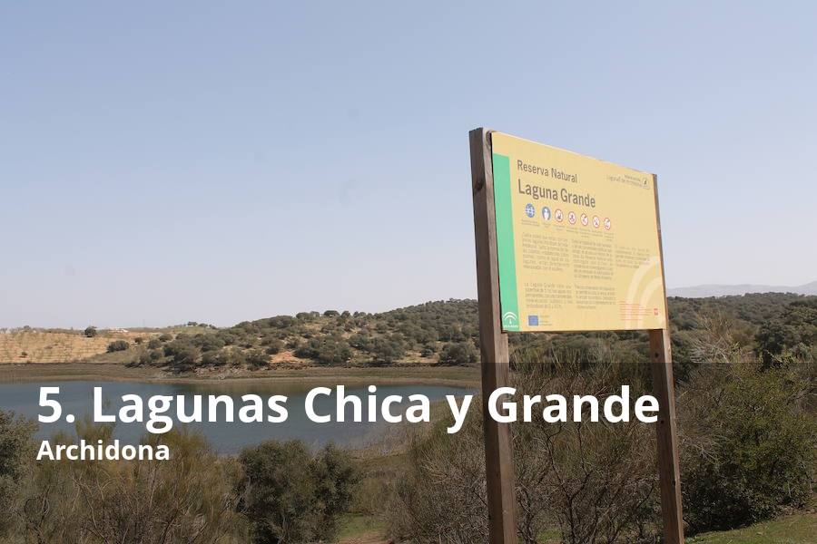 Muy cerca de la pedanía archidonesa de Salinas, se pueden ver dos lagunas (la Chica y la Grande), que están protegidas como reserva natural por su valor ecológico. En ambas se han podido ver muchas especies ornitológicas. El cinturón de juncos que las rodea es propicio para la tranquilidad de las distintas aves que la frecuentan, ya que ambas se encuentran muy próximas a la A-92 (en sentido de Málaga hacia Granada). Lee el reportaje completo  aquí