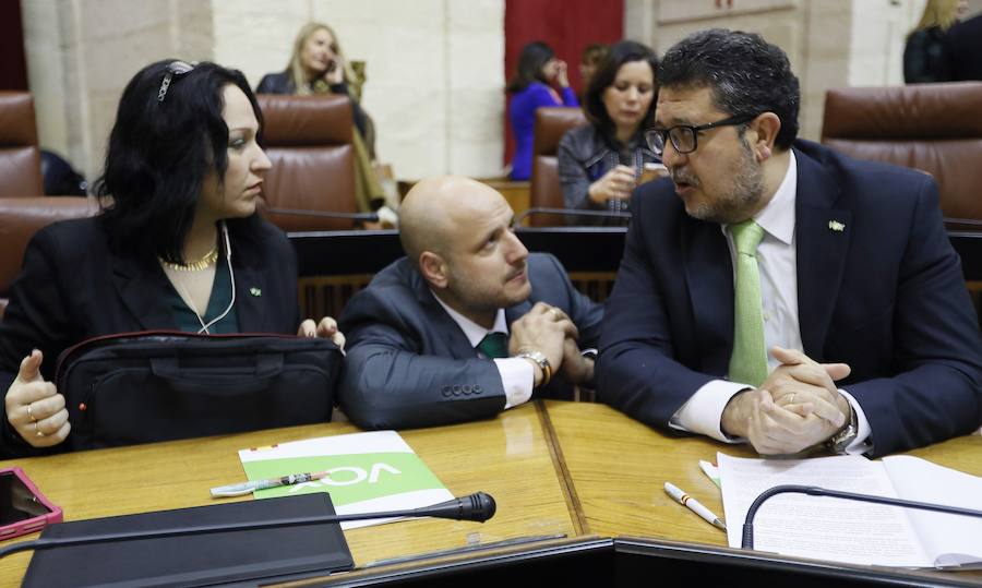 Intervención del líder de Vox en Andalucía, Francisco Serrano, en el Parlamento de Andalucía 