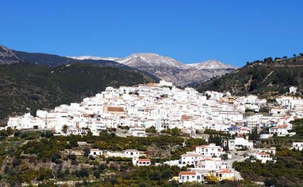 Árchez celebra este domingo la romería de San Antón en la que se bendecirán a todos los animales