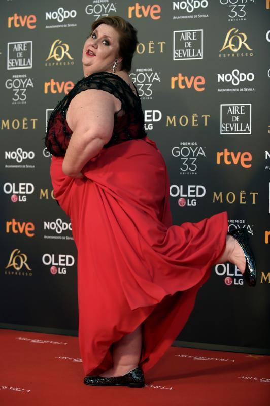 Las mejores imágenes de la alfombra roja y ceremonia de los premios de la Academia española de Cine en Sevilla. La 33ª edición de los premios Goya al cine español.