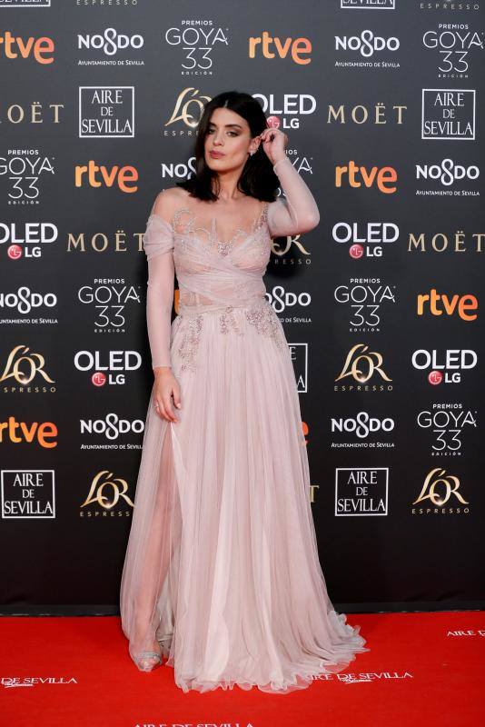 Las mejores imágenes de la alfombra roja y ceremonia de los premios de la Academia española de Cine en Sevilla. La 33ª edición de los premios Goya al cine español.