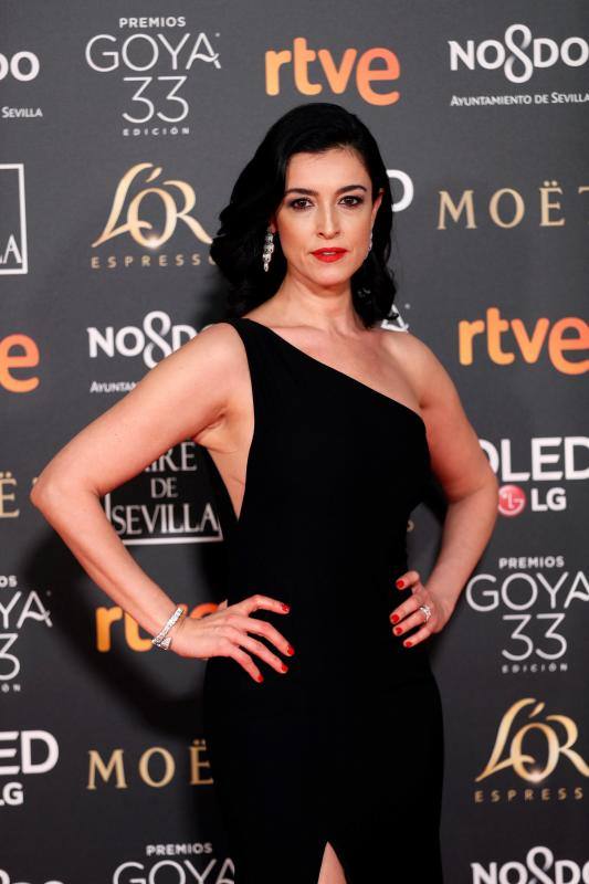 Las mejores imágenes de la alfombra roja y ceremonia de los premios de la Academia española de Cine en Sevilla. La 33ª edición de los premios Goya al cine español.