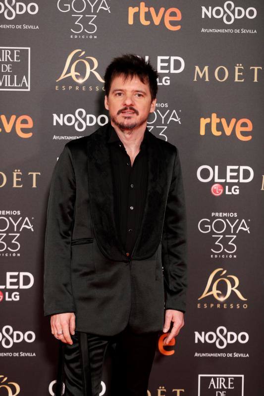 Las mejores imágenes de la alfombra roja y ceremonia de los premios de la Academia española de Cine en Sevilla. La 33ª edición de los premios Goya al cine español.