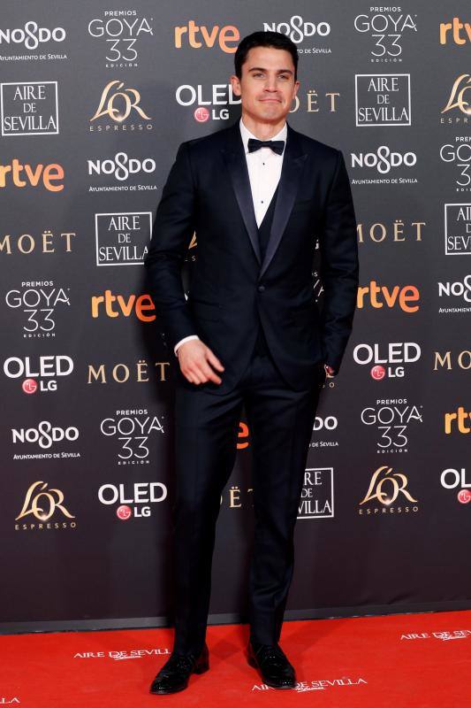 Las mejores imágenes de la alfombra roja y ceremonia de los premios de la Academia española de Cine en Sevilla. La 33ª edición de los premios Goya al cine español.