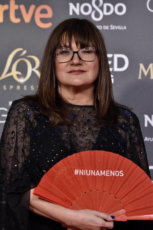 Las mejores imágenes de la alfombra roja y ceremonia de los premios de la Academia española de Cine en Sevilla. La 33ª edición de los premios Goya al cine español.