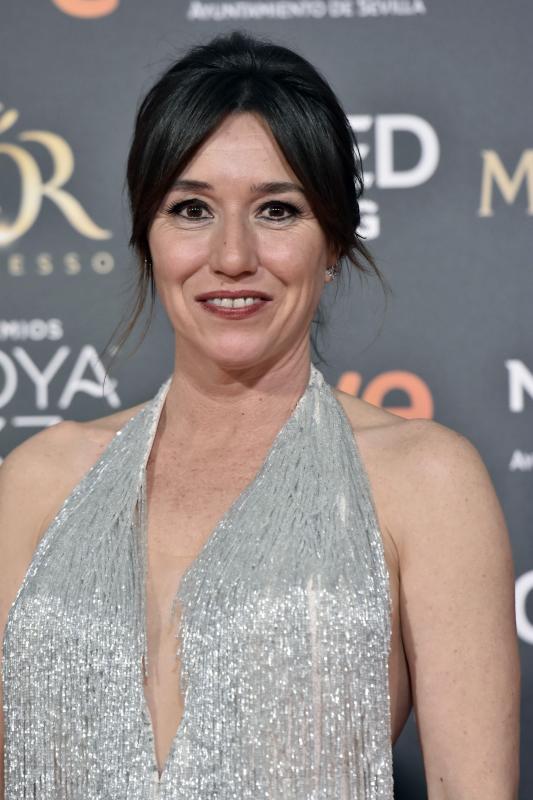 Las mejores imágenes de la alfombra roja y ceremonia de los premios de la Academia española de Cine en Sevilla. La 33ª edición de los premios Goya al cine español.