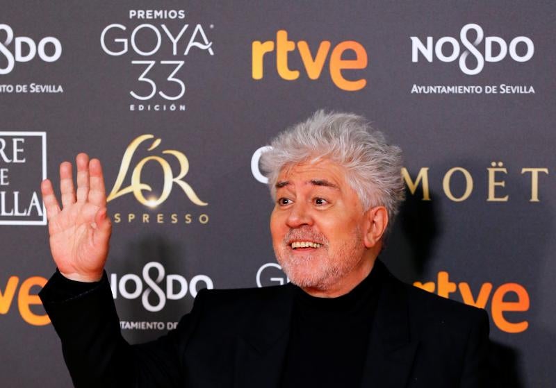 Las mejores imágenes de la alfombra roja y ceremonia de los premios de la Academia española de Cine en Sevilla. La 33ª edición de los premios Goya al cine español.