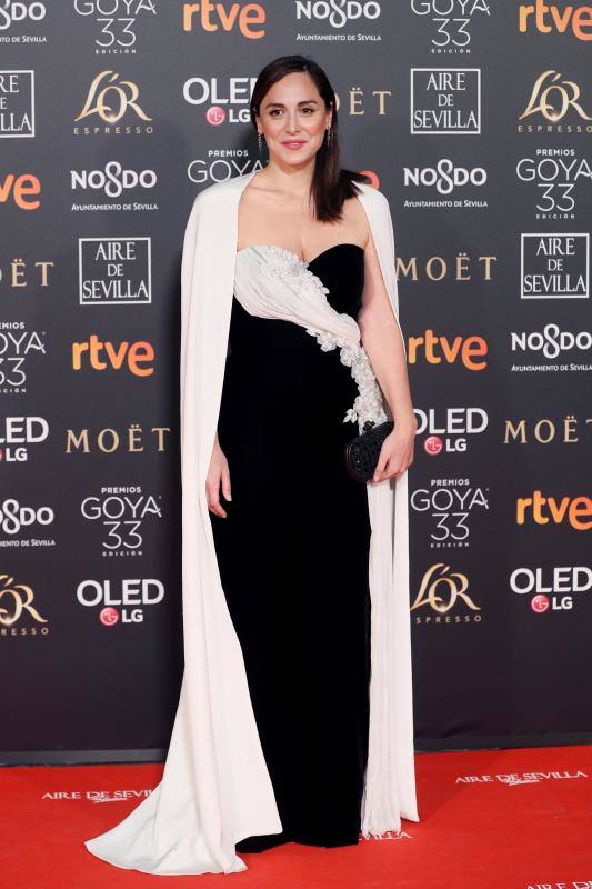 Las mejores imágenes de la alfombra roja y ceremonia de los premios de la Academia española de Cine en Sevilla. La 33ª edición de los premios Goya al cine español.