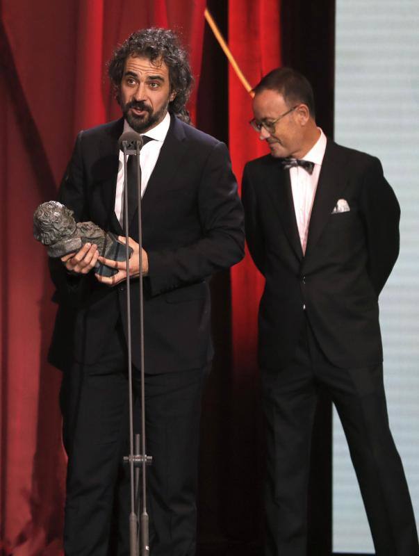 Las mejores imágenes de la alfombra roja y ceremonia de los premios de la Academia española de Cine en Sevilla. La 33ª edición de los premios Goya al cine español.